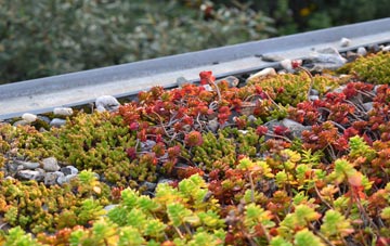 the cost of Long Buckby Wharf green roof installation